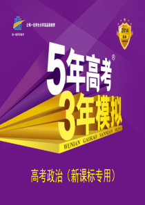 2014高考政治复习课件专题五 公民的政治生活