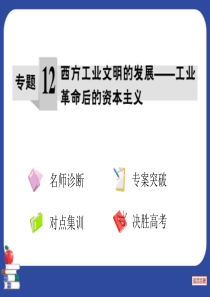 金太阳2013年二轮通史复习专题12西方工业文明的发展――工业革命后的资本主义(96张ppt)