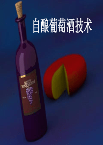 葡萄酒自制技术精华版