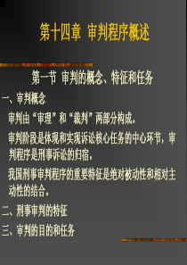 第十四章审判程序概述2资料