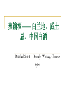 蒸馏酒(白兰地、威士忌、伏特加、xo、人头马、路易十