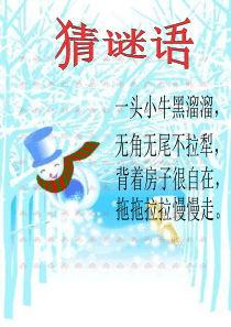 《蜗牛慢条斯理的生活》