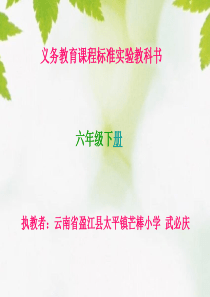 8《各具特色的民居》ppt