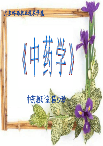 中药学总论(一)