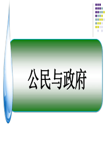 2017年高考政治生活《公民与政府》一轮复习教程