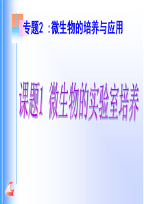 微生物的实验室培养(新课)