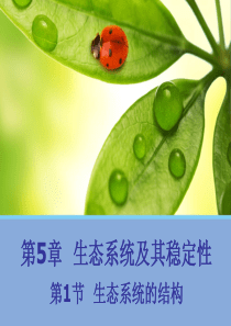 高中生物必修三  生态系统的结构 (精品课件)