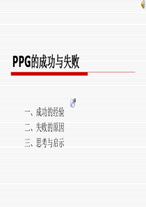 电子商务案例XXXX版_泄漏版(PPG的成功与失败)