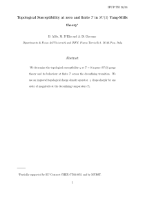 IFUP-TH 2696 Topological Susceptibility at zero an