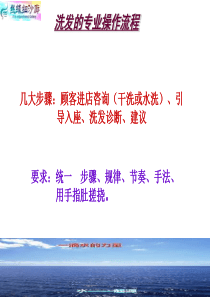 洗发专业流程