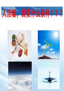 场能治疗仪