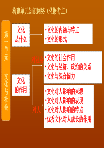 2013年高二政治课件：1.1.1《文化与社会》(新人教版必修3)