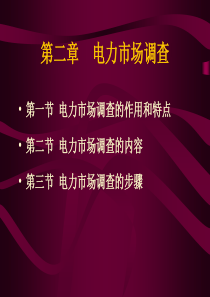 第二章  电力市场调查资料