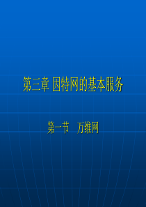 高中网络技术(选修)万维网