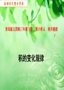 积的变化规律课件