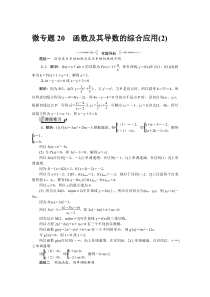 微专题20函数及其导数的综合应用(解析)