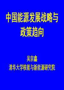 中国能源发展策略和政策趋向