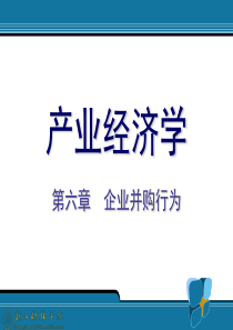 (王俊豪)产业经济学精品课程课件(08.12.2)6.企业并购行为