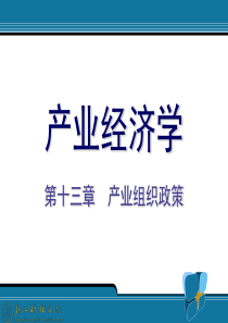 (王俊豪)产业经济学精品课程课件(08.12.2)13.产业组织政策