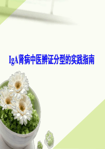 IgA肾病中医辨证分型的实践指南