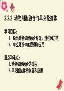 高中生物 专题2 动物细胞融合和单克隆抗体课件 新人教版选修3.