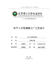 年产6万吨酒精工厂工艺设计(改)