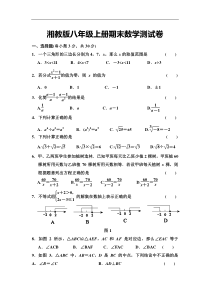 新湘教版八年级上册期末数学测试卷