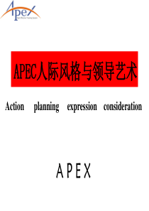 人际风格(APEX)