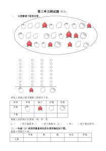 一年级下册分类与整理测试卷