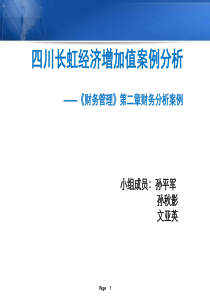 四川长虹经济增加值案例分析(2003版)