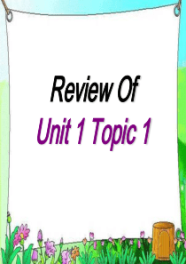 仁爱英语九年级Review  of Unit1