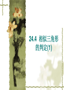 24.4相似三角形的判定(1)