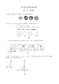 八年级培优班数学轴对称复习题