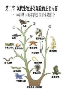 高一生物第七章第二节!