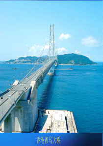 《建筑桩基技术规范》JGJ94-2008讲座