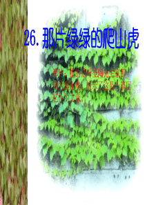 人教版四年级语文上册《那片绿绿的爬山虎》PPT课件