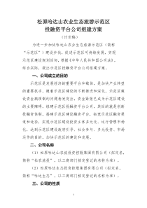 园区投融资平台公司组建方案