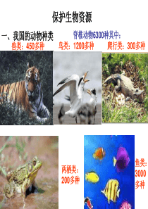 粤教版小学六年级科学下册《保护生物资源》课件