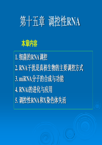 15 第十五章__调控性RNA