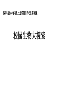 教科版六年级科学上册校园生物大搜索