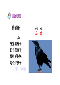 人教版一年级语文下册19乌鸦喝水(人教版)