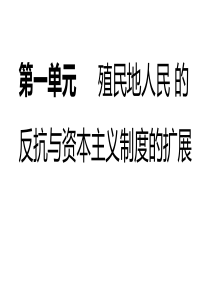 九下册一单元-殖民地人民的反抗与资本主义制度的扩展复习课件.ppt