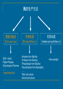 药用酶的生产_S2