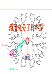 药用高分子材料学-9-张灿