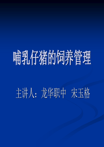 第三讲：哺乳仔猪的饲养管理 课件