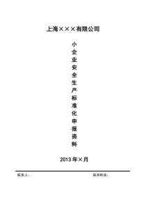 小企业标准化申报模板