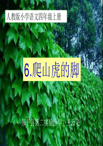 6.《爬山虎的脚》课件1副本详解