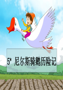 S版小学六年级上册5《尼尔斯骑鹅历险记》课件