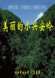 《美丽的小兴安岭》PPT课件(西师大版小学语文三年级下册课件)