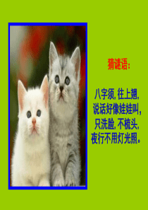 郑振铎《猫》公开课课件定稿